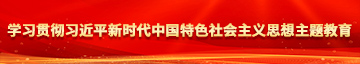 大几把搞B视频学习贯彻习近平新时代中国特色社会主义思想主题教育